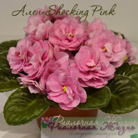 Ален-Shocking Pink