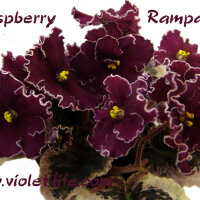 Raspberry Rampage.jpg