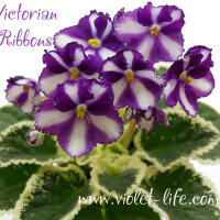 Victorian_Ribbons.jpg
