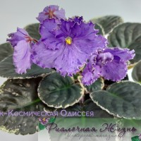 Nik-Космическая Одиссея