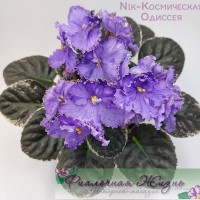 Nik-Космическая Одиссея