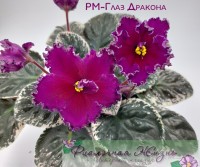РМ-Глаз Дракона