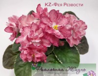 KZ-Фея Резвости