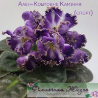 Ален-Коштовне Камiння (спорт)