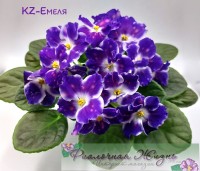 KZ-Емеля