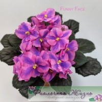 Funny Face