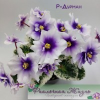Р-Дурман