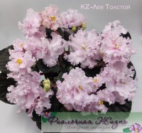KZ-Лев Толстой