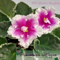 МТ-Озеро Надежд
