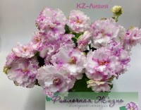 KZ-Ливия