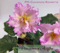РМ-Солнечное Конфетти