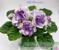 KZ-Органза
