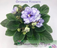 Optimara Yosemite