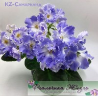 KZ-Самарканд
