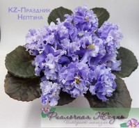 KZ-Праздник Нептуна