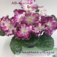 АВ-Красный Бриллиант