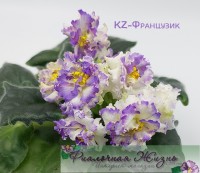 KZ-Французик