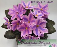 Ma's Double Cross