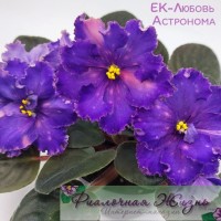 ЕК-Любовь Астронома