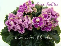 Rosie Ruffles
