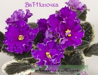 ВаТ-Ниночка