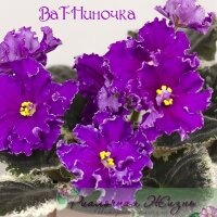 ВаТ-Ниночка