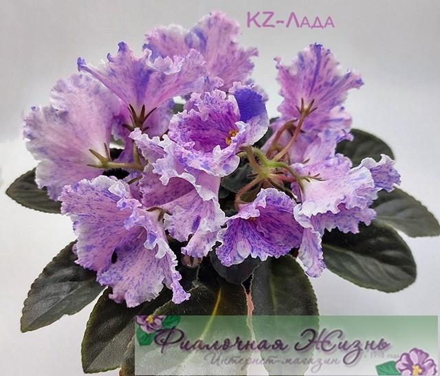 KZ-Лада
