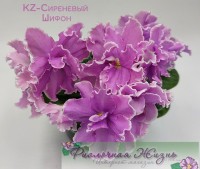 KZ-Сиреневый Шифон