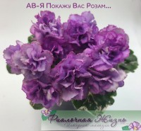 АВ-Я Покажу Вас Розам...