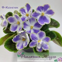 Ф-Кузнечик