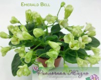 Emerald Bell