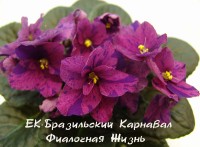 ЕК-Бразильский Карнавал         