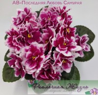 АВ-Последняя Любовь Самурая
