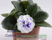 Rob's Cotton Ball