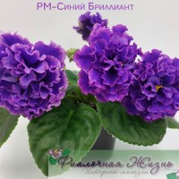РМ-Синий Бриллиант