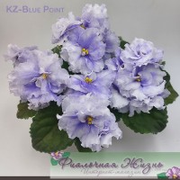  KZ-Blue Point