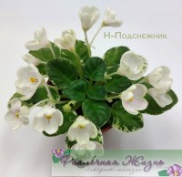 Н-Подснежник