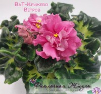 ВаТ-Кружево Ветров