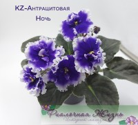 KZ-Антрацитовая Ночь