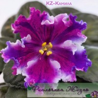KZ-Камила