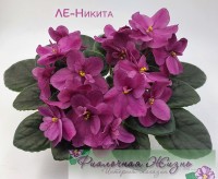 ЛЕ-Никита