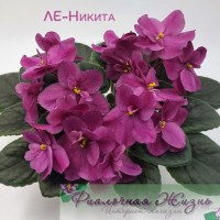 ЛЕ-Никита