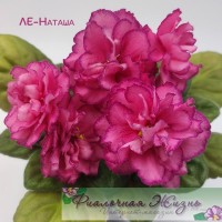 ЛЕ-Наташа