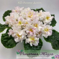 KZ-Лучики Добра