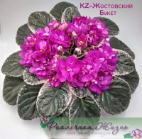 KZ-Жостовский Букет