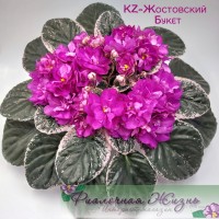 KZ-Жостовский Букет