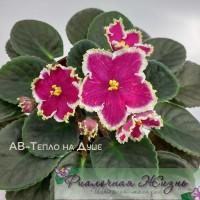 АВ-Тепло на Душе