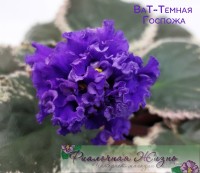 ВаТ-Темная Госпожа