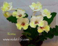 Roma