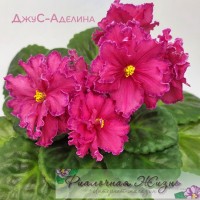 ДжуС-Аделина